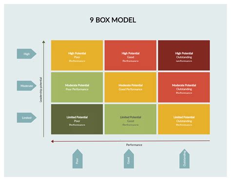 the 9 box model